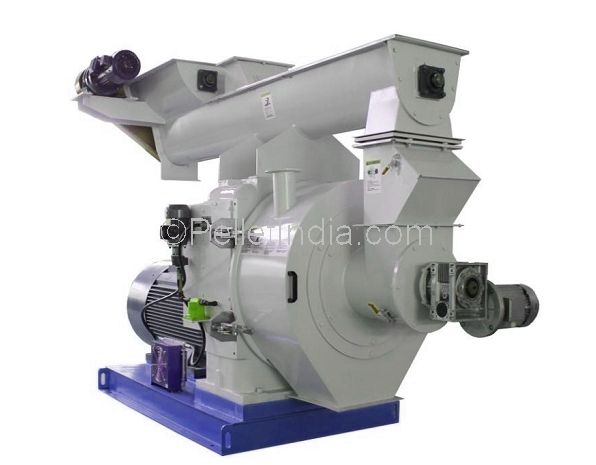 Ring Die Pellet Mill - 2