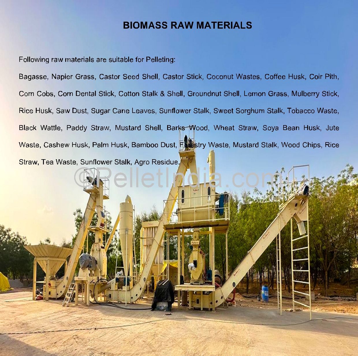 Wood Biomass Pellet Plant with Multiple Units - 5