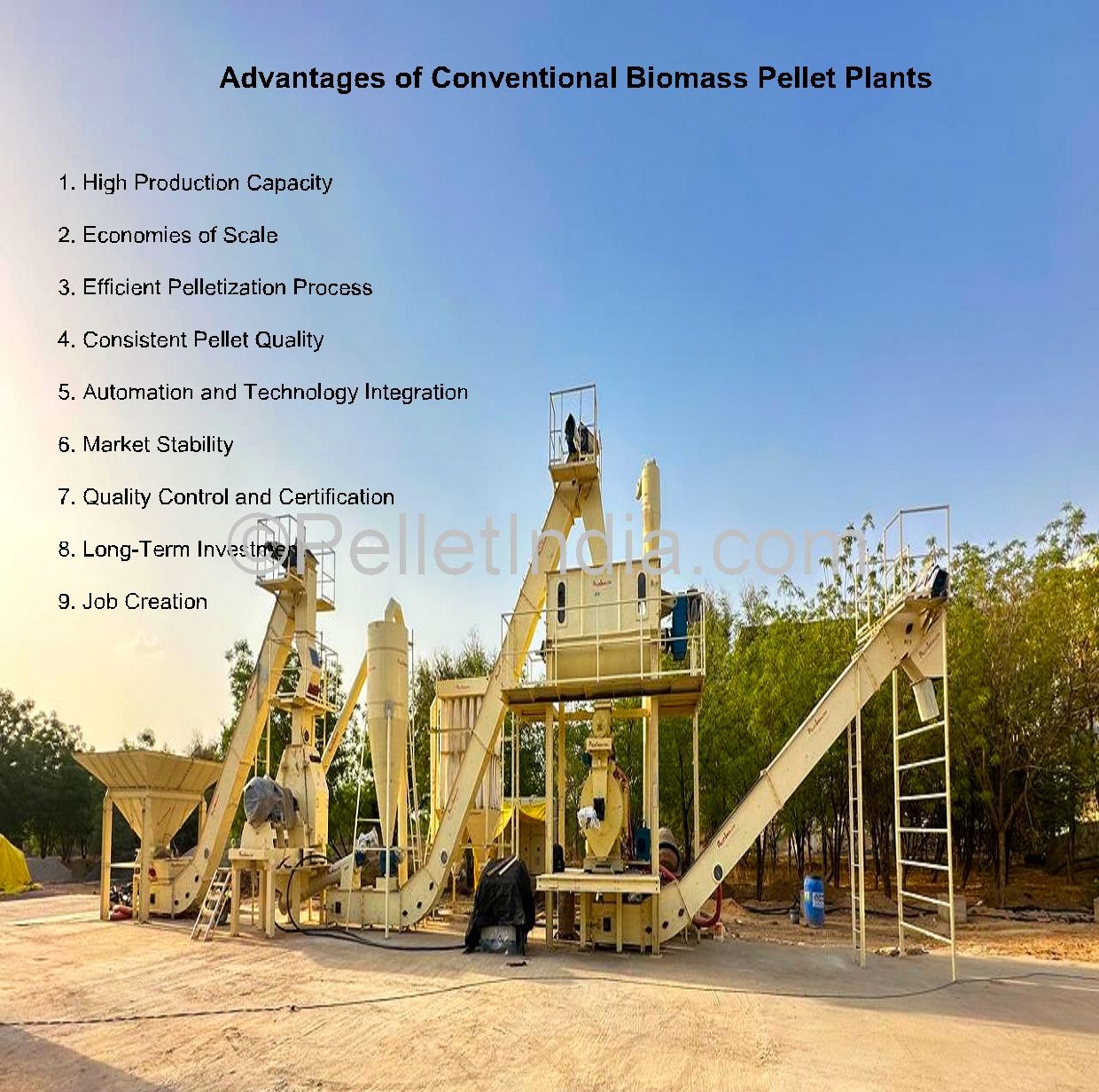 Wood Biomass Pellet Plant with Multiple Units - 3